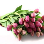 The Arrangement 