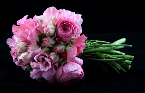 The Arrangement 