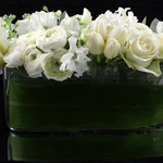 The Arrangement 