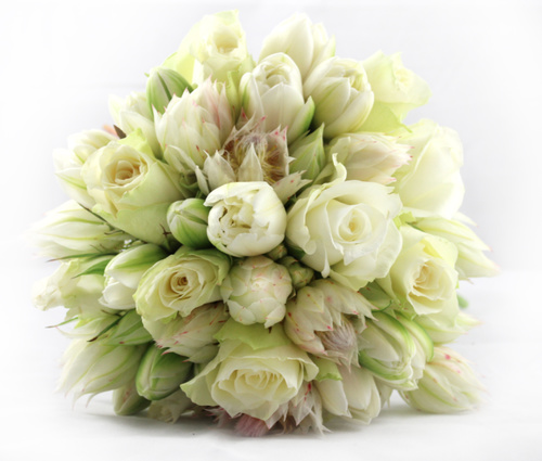 The Arrangement 