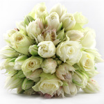 The Arrangement 