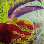 Untitled (Close Up)