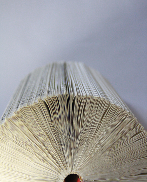 Altered Series (Detail View)