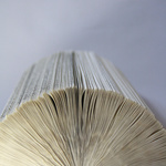 Altered Series (Detail View)