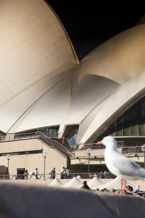 Sydney Day To Night 4