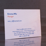 Branding For The National Association Of Visual Arts Business Card