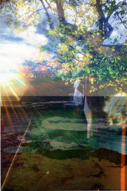 Primavera Eterna (From The Series Sixteen Seasons) 6 Of 6, 2012, Chromogenic Print 24 In X 36 In