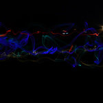 Multicolour