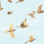 Untitled #2, 2012