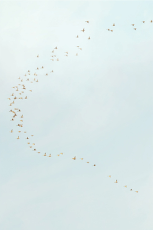 Untitled #4, 2012