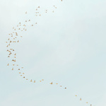 Untitled #4, 2012