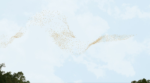 Untitled #8, 2012