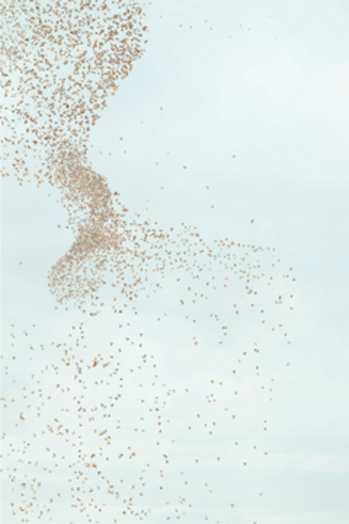 Untitled #3, 2012