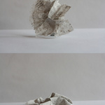 Altered Series (Detail View)