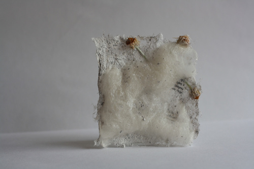 Altered Series (Detail View)