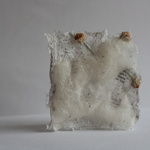 Altered Series (Detail View)