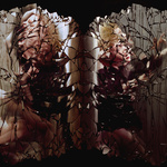 Fractured Identity