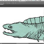 Zeahorse Illustration Process B