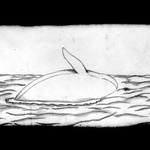 The Factory Boy And The Flying Whale