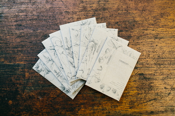 The End Of Waste: Seed Packets