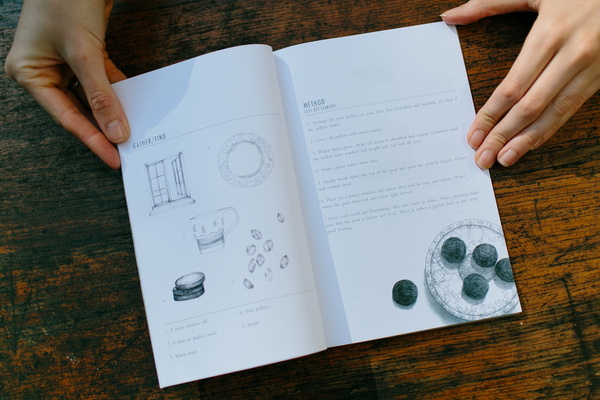 The End Of Waste: How To Guide