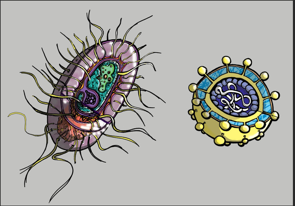 Bacteria Illustrations