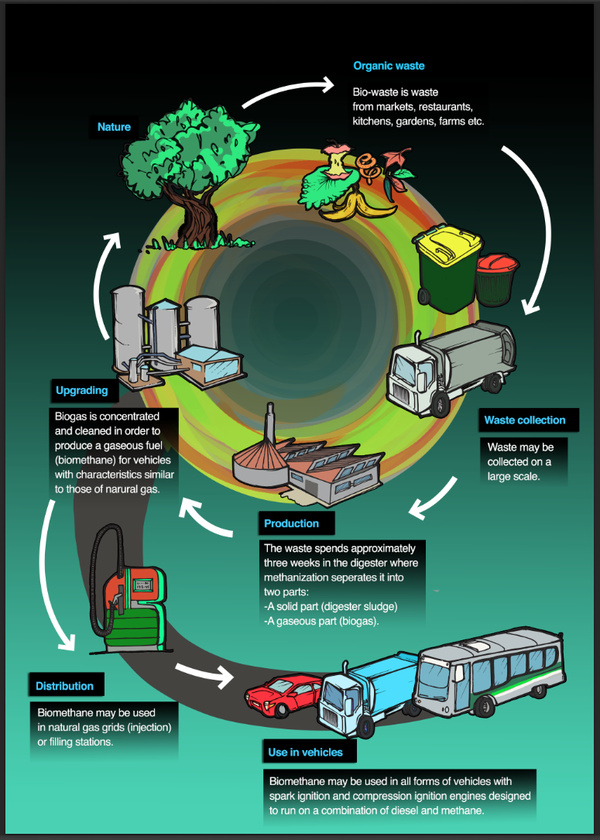 Waste Cycle