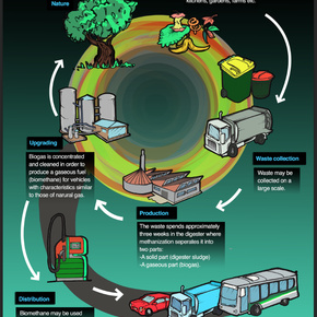 Waste Cycle
