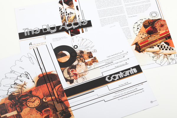 Publication Design And Illustration, 2011