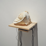 It’S All Inside You, Everything, 2013, Conch Shell, Audio, Dimensions Variable. Photography: Jack L. Dunbar