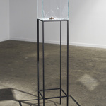 With The Force Of A Thousand Suns, 2013, Meteorite, Glass, Metal, Mdf, Dimensions Variable. Photography: Jack L. Dunbar