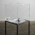 With The Force Of A Thousand Suns, 2013, Meteorite, Glass, Metal, Mdf, Dimensions Variable. Photography: Jack L. Dunbar