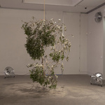 A Second Chance, 2013, Tree Branch, Automated Fans, Dimensions Variable. Photo: Silversalt