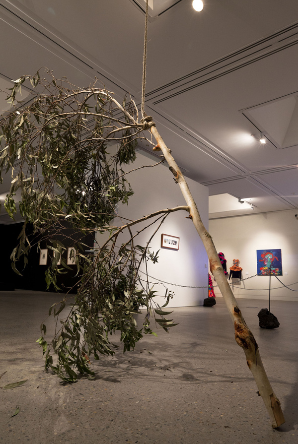 A Second Chance, 2013, Tree Branch, Automated Fans, Dimensions Variable. Photo: Silversalt