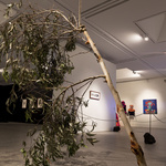 A Second Chance, 2013, Tree Branch, Automated Fans, Dimensions Variable. Photo: Silversalt
