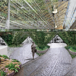 The Tram Gardens   Visual Representation 