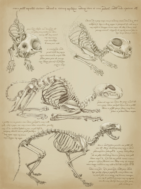 Anatomy Of A God