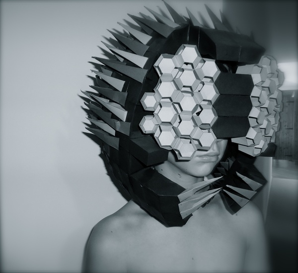 Bug Helmet