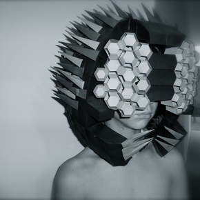 Bug Helmet