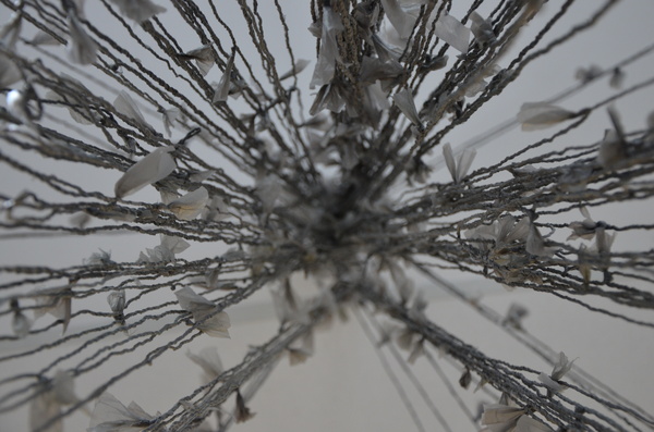Accumulation   Process   Discipline 