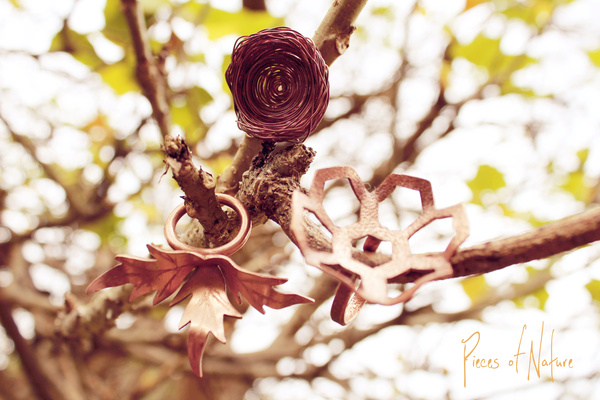 Pieces Of Nature