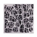 Lichen