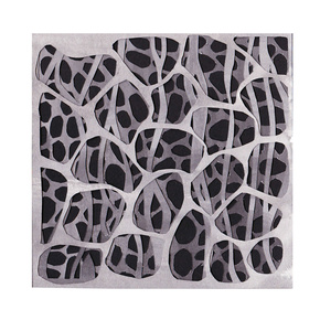Lichen