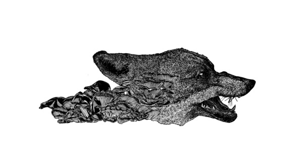 Death Becomes Him, Relief Print On Bfk Reeves, 56x76cm, 2012.