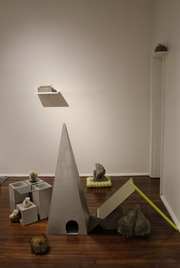 Curious Co Habitation, 2013