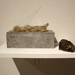 Curious Co Habitation, 2013 (Detail)