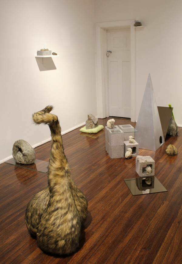 Curious Co Habitation, 2013