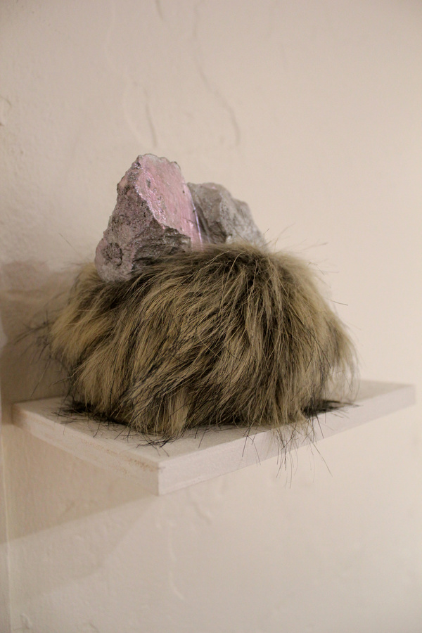 Curious Co Habitation, 2013 (Detail)