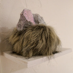 Curious Co Habitation, 2013 (Detail)