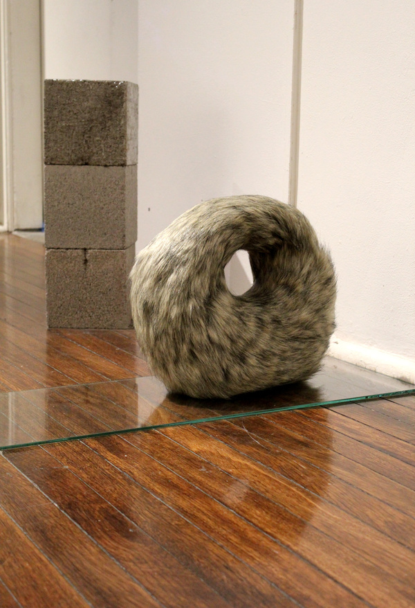 Curious Co Habitation, 2013 (Detail)